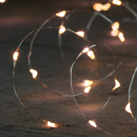 Anna Collection Draadverlichting op batterijen | 2 meter | Warm wit | 40 leds | Zilver  LCO00176