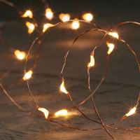 Anna Collection Draadverlichting op batterijen | 5 meter | Warm wit | 100 leds | Koper  LCO00095
