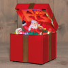 Kerstfiguur op batterijen | Bewegende geschenkset kerstman | 12.5 x 20 cm | Rood LCO00818 - 1