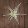 Kerstster 3D op batterijen | 60 cm | Warm wit | Zilver | 10 lampjes LCO00302 - 1
