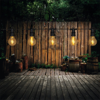 Anna Collection Lichtsnoer koppelbaar 10 meter | 10 lampjes | Peer | Warm wit  LCO00434