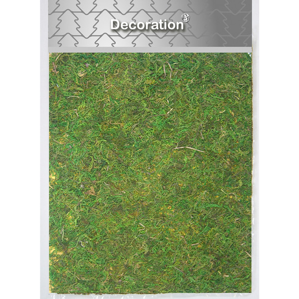 Anna Collection Mosmat 30 x 40 cm | groen | voor binnen | 123led huismerk  LCO00058 - 1