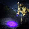 Ansmann UV en LED zaklamp op batterijen | 3x AAA | 90 lumen | Zwart/blauw  LAN00075 - 4