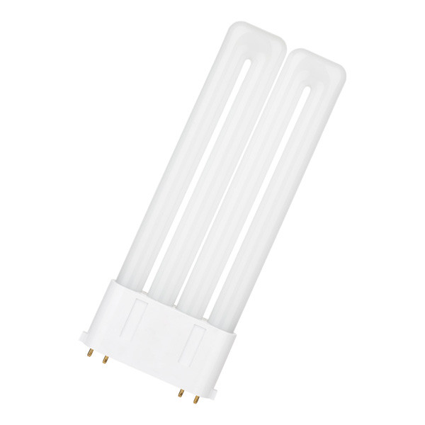 Bailey LED PL lamp | 2G10 | 4000K | 2500 lumen | 20W (36W)  LBA00133 - 1