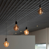 Bailey LED lamp E27 | Blaasvis | Filament | Zwart | 2200K | Dimbaar | 4W  LBA00273 - 3