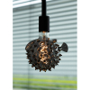 Bailey LED lamp E27 | Blaasvis | Filament | Zwart | 2200K | Dimbaar | 4W  LBA00273 - 5