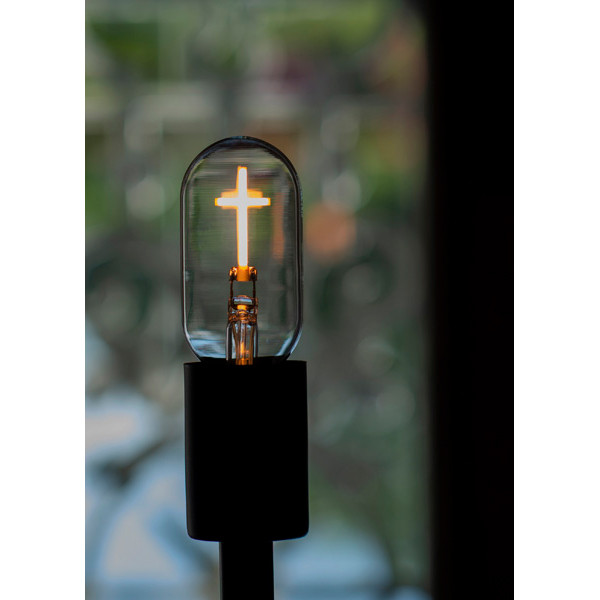 Bailey LED lamp E27 | Buis ST45 | Filament | 2200K | Dimbaar | 2W LBA00294 - 3