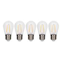 Bailey LED lamp E27 | Edison ST64 | Filament | Helder | 2700K | 2W (21W) | 5 stuks LBA00384