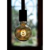 Bailey LED lamp E27 | Globe G95 | Filament | Goud | 2000K | Dimbaar | 2W  LBA00288 - 3