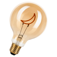 Bailey LED lamp E27 | Globe G95 | Filament | Goud | 2000K | Dimbaar | 2W  LBA00289