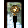 Bailey LED lamp E27 | Globe G95 | Filament | Goud | 2000K | Dimbaar | 2W  LBA00290 - 3