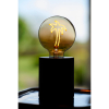 Bailey LED lamp E27 | Globe G95 | Palmboom | Goud | 2000K | Dimbaar | 2W  LBA00298 - 3