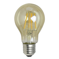 Bailey LED lamp E27 | Peer A60 | Filament | Goud | IP65 | 2200K | 4W  LDR08074
