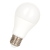 Bailey LED lamp E27 | Peer A60 | Sensorlamp dag/nacht | Mat | 2700K | 9W (60W)