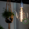 Bailey LED lamp E27 | Theepot | Filament | Helder | 2200K | Dimbaar | 4W  LBA00262 - 2
