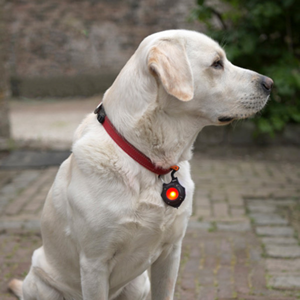 Bailey Robust LED sleutelhanger | USB-C oplaadbaar | Rood + 4000-8000K | 500 lumen LBA00439 - 5