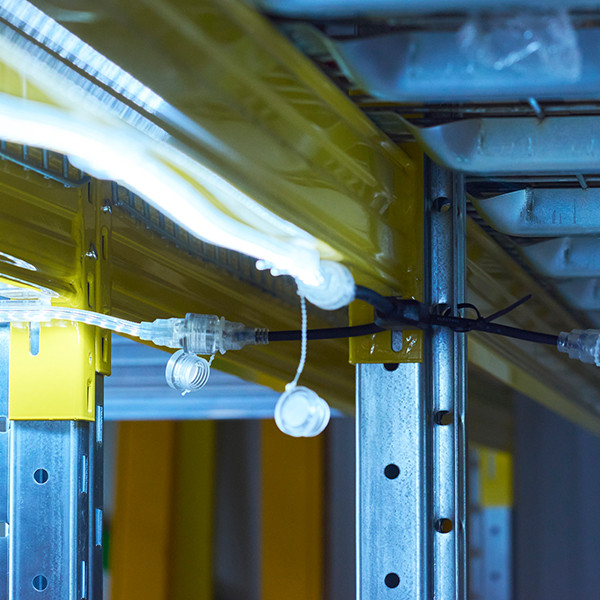 Bailey splitter 2-uitgangen (2Y) | Geschikt voor RoBust Rope Plus lichtslangen LBA00491 - 6