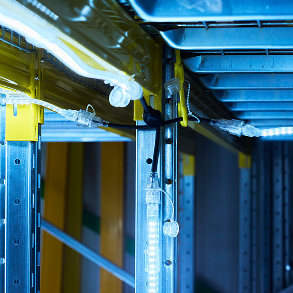 Bailey splitter 3-uitgangen (3Y) | Geschikt voor RoBust Rope Plus lichtslangen LBA00490 - 7