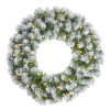 Kerstkrans Ø 60 cm | Norton | Besneeuwd | 30 lampjes op batterijen | Black Box Trees
