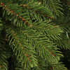 Black Box Trees Kunstkerstboom 1.85 meter | Brampton | 1458 tips | PVC/PE | Black Box  LBB00020 - 3