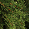 Kunstkerstboom 1.85 meter | Brampton | 1458 tips | PVC/PE | Black Box LBB00020 - 2
