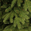 Kunstkerstboom 1.85 meter | Brampton | 1458 tips | PVC/PE | Black Box LBB00020 - 3
