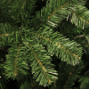 Black Box Trees Kunstkerstboom 1.85 meter | Charlton | 525 tips | PVC | Black Box  LBB00015 - 3