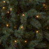 Kunstkerstboom 1,85m | Norwood | 270 lampjes | 850 Tips | PVC | Black Box Trees LBB00319 - 3