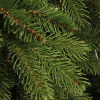 Kunstkerstboom 2.15 meter | Brampton | 1992 tips | PVC/PE | Black Box LBB00021 - 2