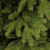 Kunstkerstboom 2.15 meter | Brampton | 1992 tips | PVC/PE | Black Box LBB00021 - 3