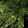 Kunstkerstboom 2.15 meter | Charlton | 180 lampjes | 805 tips | PVC | Black Box LBB00019 - 2
