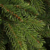Kunstkerstboom 2.30 meter | Brampton | 2322 tips | PVC/PE | Black Box LBB00022 - 2