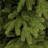 Kunstkerstboom 2.30 meter | Brampton | 2322 tips | PVC/PE | Black Box LBB00022 - 3