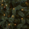 Kunstkerstboom 2,30m | Norwood | 440 lampjes | 1550 Tips | PVC | Black Box Trees LBB00312 - 3