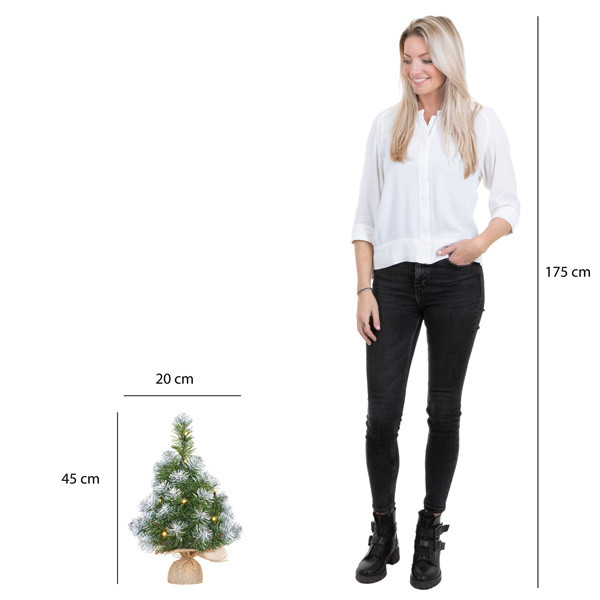 Kunstkerstboom 45 cm | Norton | Besneeuwd | 10 lampjes | 40 Tips | Black Box Trees LBB00099 - 3