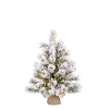 Kunstkerstboom 60 cm | Dinsmore | Besneeuwd | 20 lampjes | 56 Tips | Black Box Trees LBB00094 - 1
