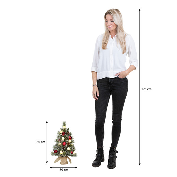 Kunstkerstboom 60 cm | Kaprun | 10 lampjes | 50 Tips | Black Box Trees LBB00064 - 3