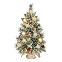 Kunstkerstboom 60 cm | Kaprun | Besneeuwd | 10 lampjes | 50 Tips | Black Box Trees LBB00244