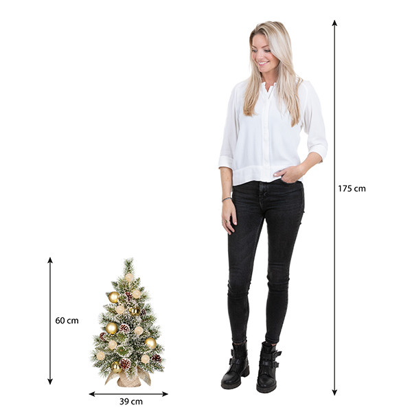 Kunstkerstboom 60 cm | Kaprun | Besneeuwd | 10 lampjes | 50 Tips | Black Box Trees LBB00244 - 3