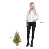Kunstkerstboom 60 cm | Nagoya | 25 lampjes | 50 Tips | Black Box Trees LBB00252 - 3