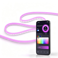 Calex Slimme ledstrip Neon 10 meter set | WiFi | IP44 | 24W LCA01305