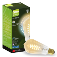 Calex Smart Outdoor lamp E27 | Edison ST64 | 1800K-6500K | 550 lumen | 7W  LCA00825