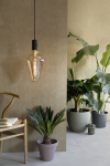 Calex XXL lamp E27 | Vienna | Gold | 2200K | Dimbaar | 4W  LCA00031 - 2