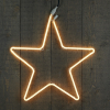Coen Bakker Neonverlichting ster 54 cm | warm wit | voor buiten | 123led huismerk  LCO00040