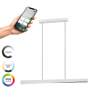 Eglo Hanglamp | Bolognano-Z | RGB + 2700-6500 | Grijs | Zigbee LEG00532 - 2