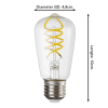 Eglo LED lamp E27 | Edison ST48 | Helder | 2700K | 7.3W LEG00492 - 4