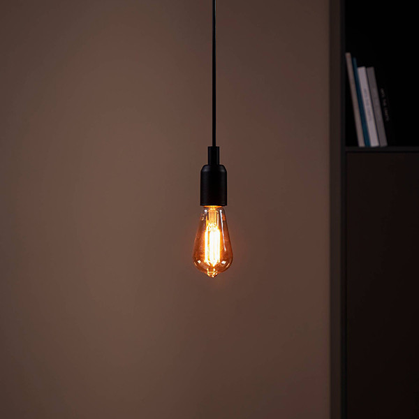 Eglo LED lamp E27 | Edison ST64 | Filament | 1700K | Dimbaar | 4W (28W) LEG00017 - 2