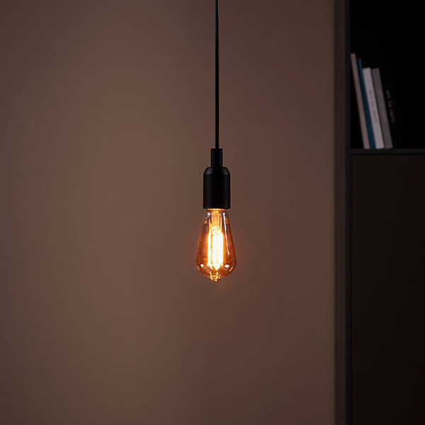 Eglo LED lamp E27 | Edison ST64 | Filament | Amber | 1700K | Dimbaar | 4W (28W)  LEG00017 - 2