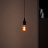 Eglo LED lamp E27 | Globe G80 | Filament | Amber | 1700K | Dimbaar | 4W (28W)  LEG00013 - 2