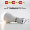 Eglo LED lamp E27 | Peer A67 | Mat | 3000K | 8.5W LEG00480 - 6